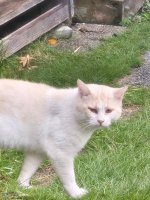 桂木みずな 21歳