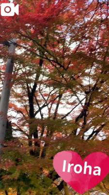 篠咲いろは 30歳