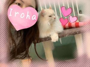 篠咲いろは 30歳