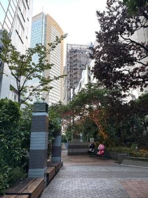 真中らん 36歳