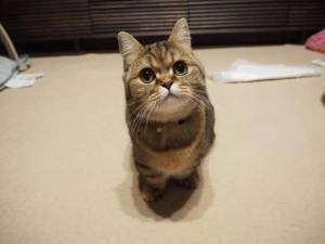 大和あやね 25歳
