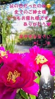 三田 54歳