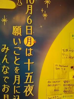 宮原 40歳