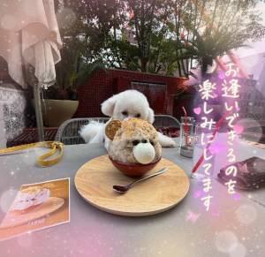 七瀬はる 36歳