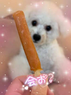 七瀬はる 36歳
