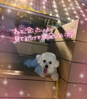 七瀬はる 36歳
