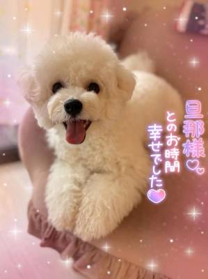 七瀬はる 36歳