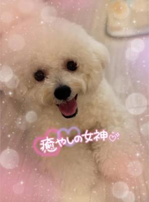 七瀬はる 36歳