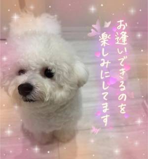 七瀬はる 36歳