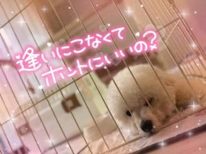 七瀬はる 36歳