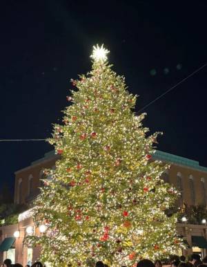 河合しょうこ 38歳