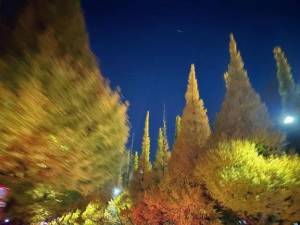 河合しょうこ 38歳