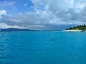 西田みさき 38歳