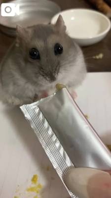 二階堂みほ 40歳