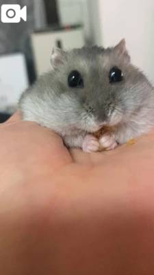 二階堂みほ 40歳