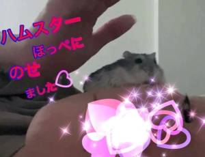 二階堂みほ 40歳