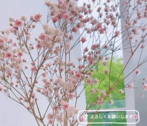 南さほ 43歳