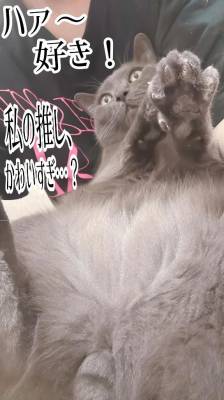 伊藤なつめ 35歳