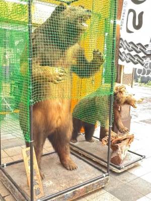 千歳さおり 36歳