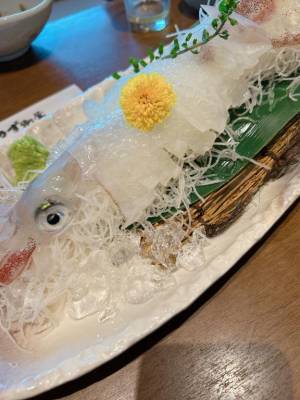 えなこ 25歳