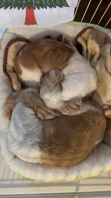 三島れいか 25歳