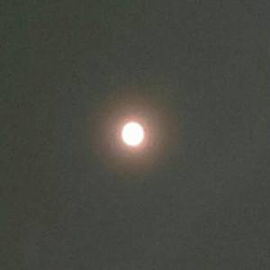 三浦しほ 31歳
