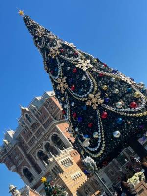 本宮みのり 40歳