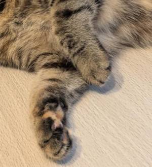 蒼井アンナ 38歳