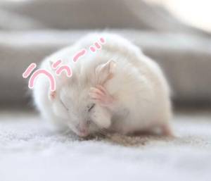めあ 19歳