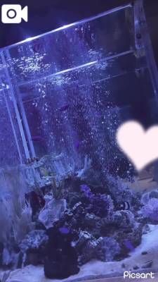 めあ 19歳