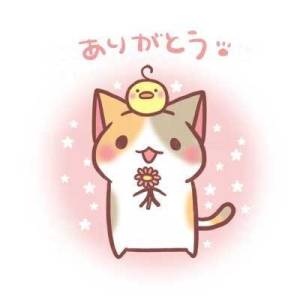 ひめの 19歳