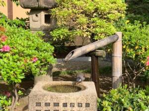 白石れいか 27歳