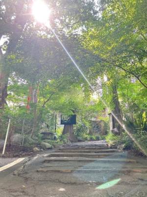 白石れいか 27歳