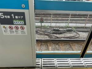 白石れいか 27歳