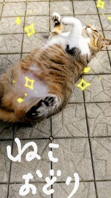 上杉(うえすぎ) 36歳