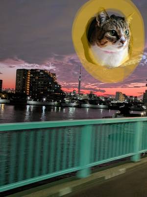 上杉(うえすぎ) 36歳