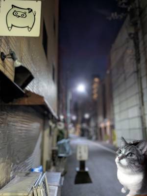 上杉(うえすぎ) 36歳