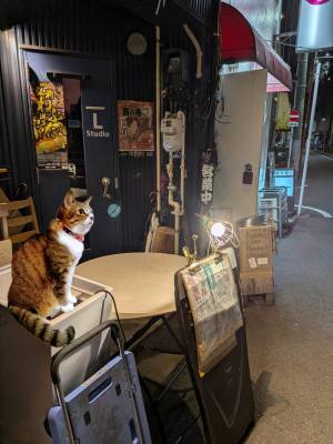 上杉(うえすぎ) 36歳