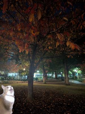 上杉(うえすぎ) 36歳