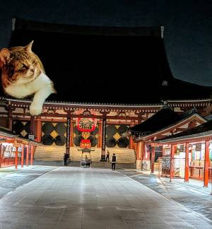 上杉(うえすぎ) 36歳