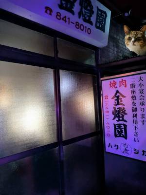 上杉(うえすぎ) 36歳