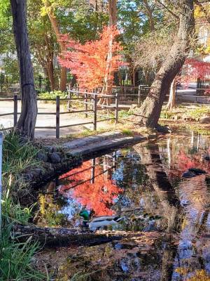 上杉(うえすぎ) 36歳