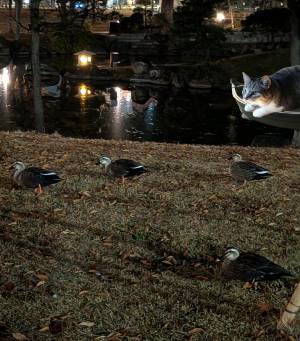 上杉(うえすぎ) 36歳