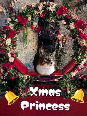 上杉(うえすぎ) 36歳