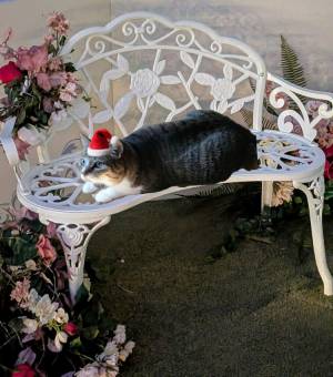 上杉(うえすぎ) 36歳