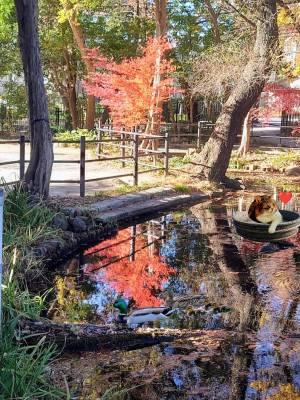 上杉(うえすぎ) 36歳