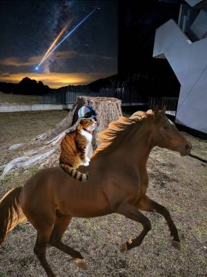 上杉(うえすぎ) 36歳