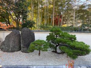 美咲(みさき) 33歳