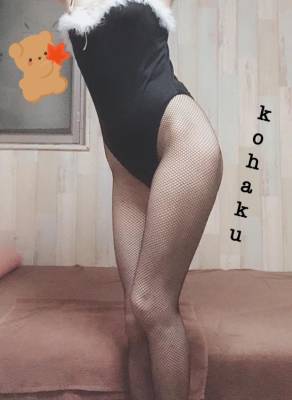 コハク 26歳