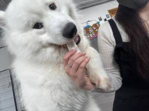 レナ 23歳